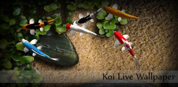 Koi Free Live Wallpaper, anima el escritorio de tu dispositivo Android con este estanque de carpas