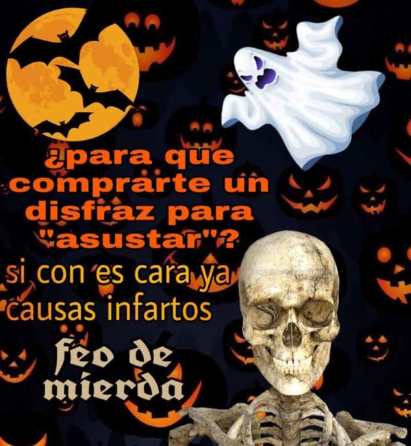 Los Memes Más Hilarantes De Halloween Para WhatsApp Y Twitter