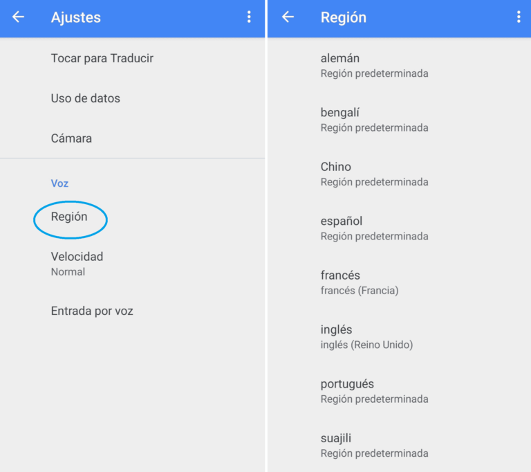 ️ Cómo Cambiar La Voz Del Traductor De Google