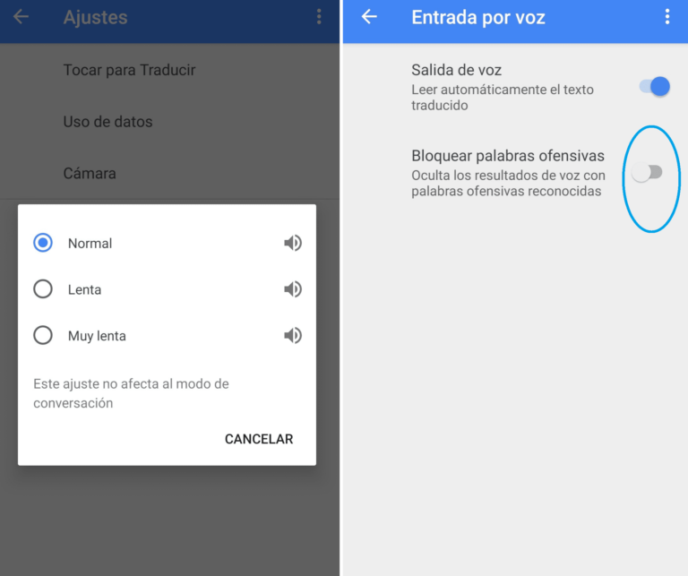 ️ Cómo Cambiar La Voz Del Traductor De Google