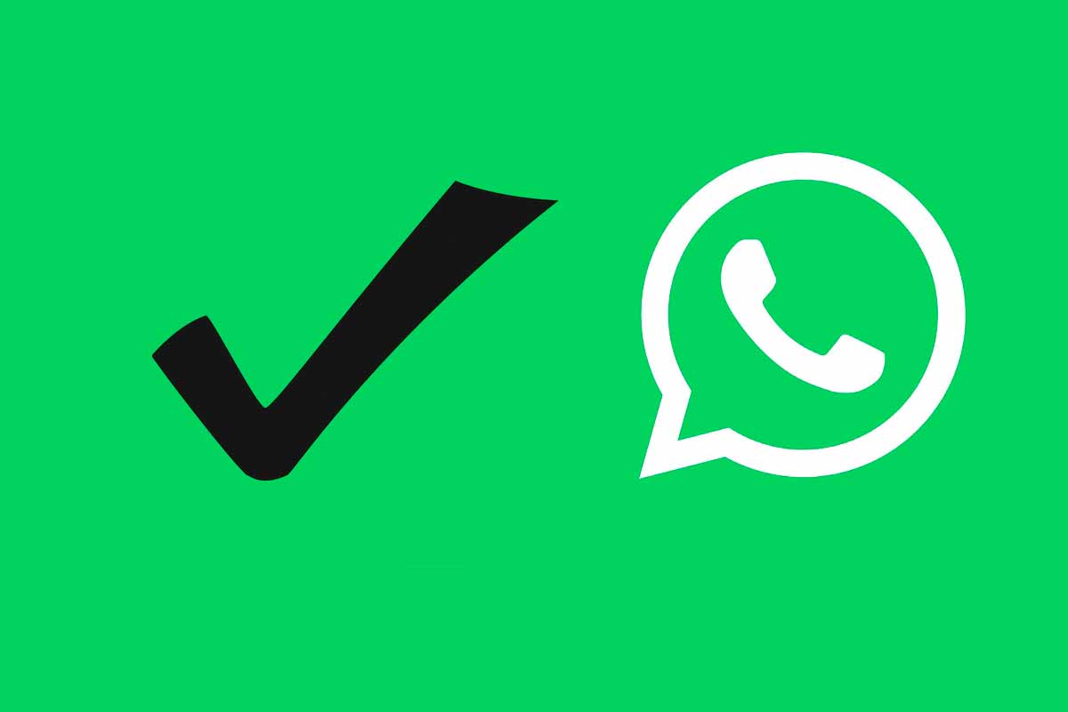 Porque Cuando Mando Un Mensaje En Whatsapp Sale Una Palomita